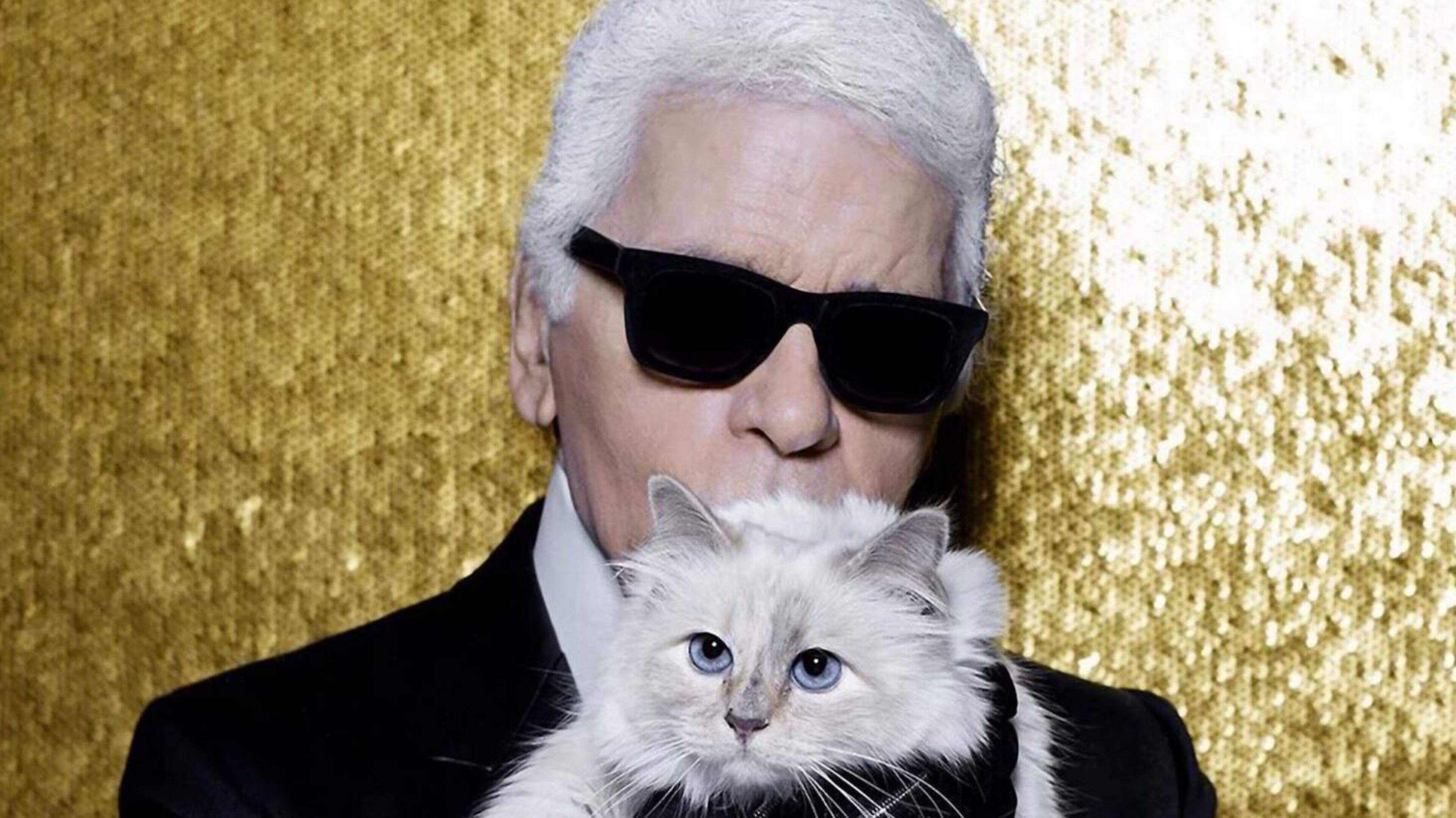 Karl Lagerfeld’s ‘millionaire cat’ still waiting for its inheritance